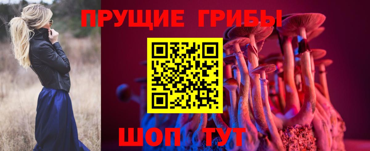 Гулькевичи  Галлюциногенные грибы мицелий  Галлюциногенные грибы прущие грибы  Вход с VPN 